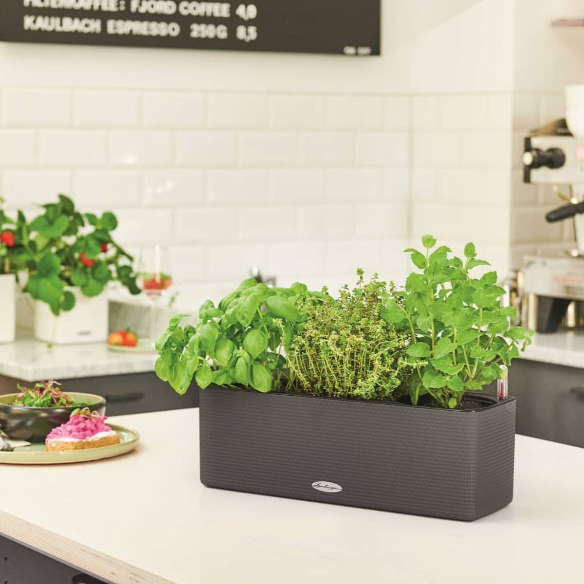 Jardinière rectangulaire gris foncé remplie d'herbes. Comptoir de cuisine et menu visibles.