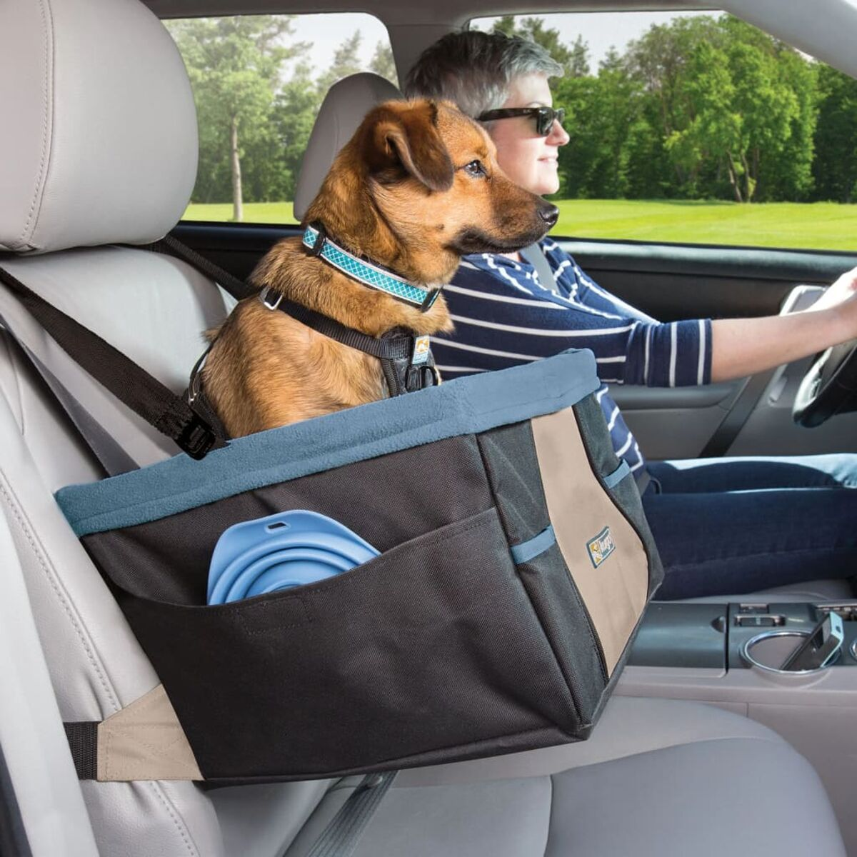 Ein Hund in einem Autositz, der von einer Frau gefahren wird. Der Autositz ist braun und schwarz.