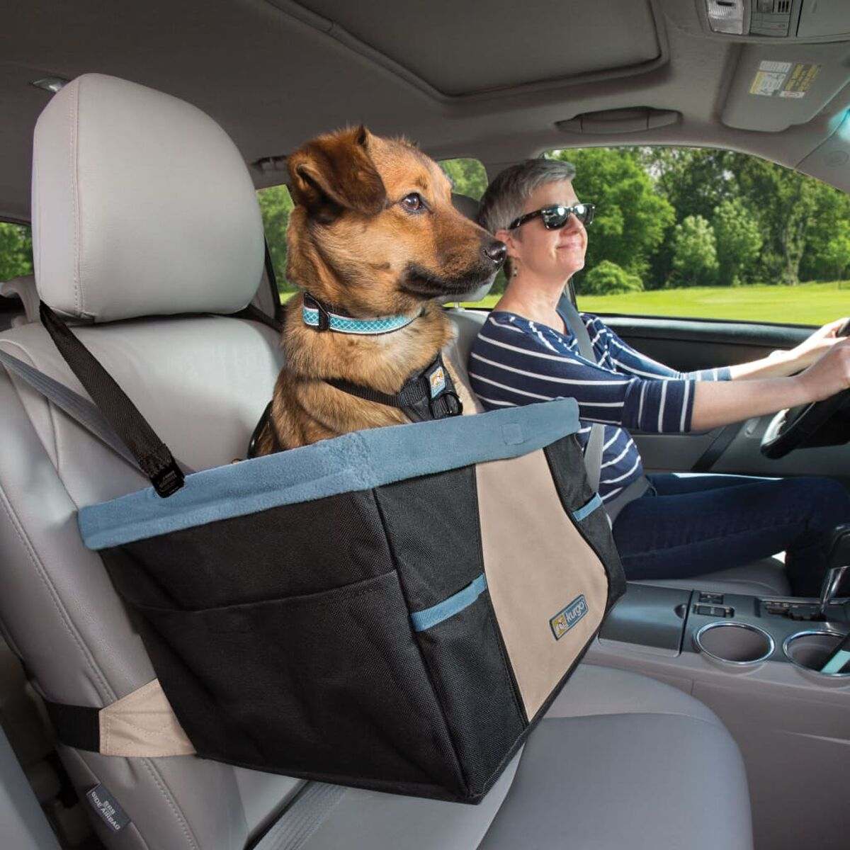 Ein Hund in einem Autositz neben einer Person, die fährt. Der Hund ist braun und tanfarben. Die Person trägt eine Sonnenbrille.