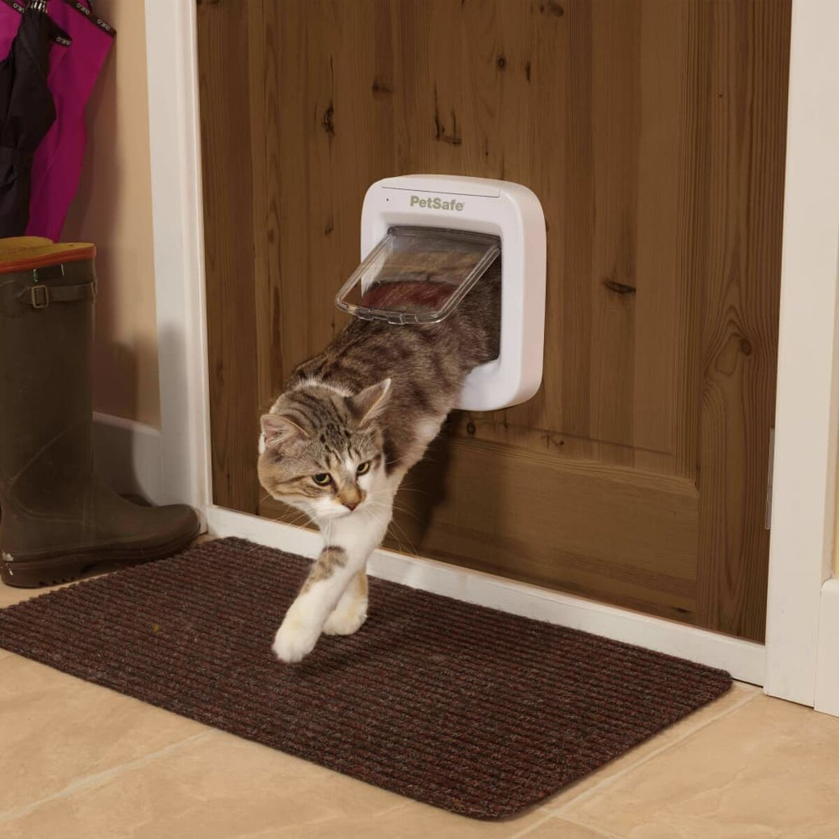 Eine Katze betritt eine Tür. Vor der Tür liegt eine Fußmatte.