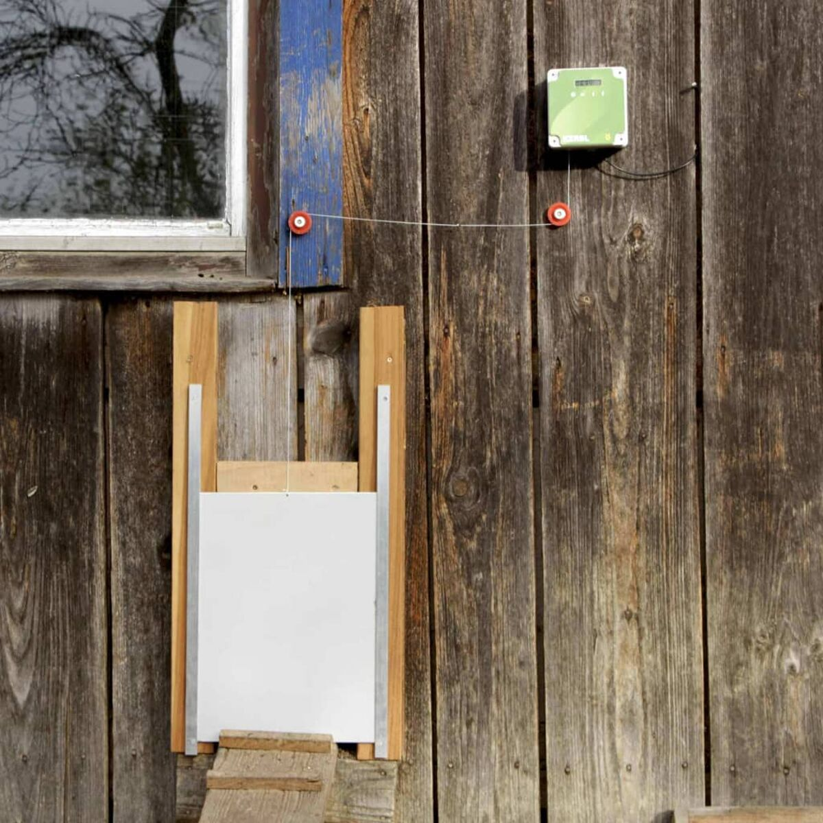 Una puerta de gallinero de madera en una pared de madera desgastada con una caja verde y círculos rojos.