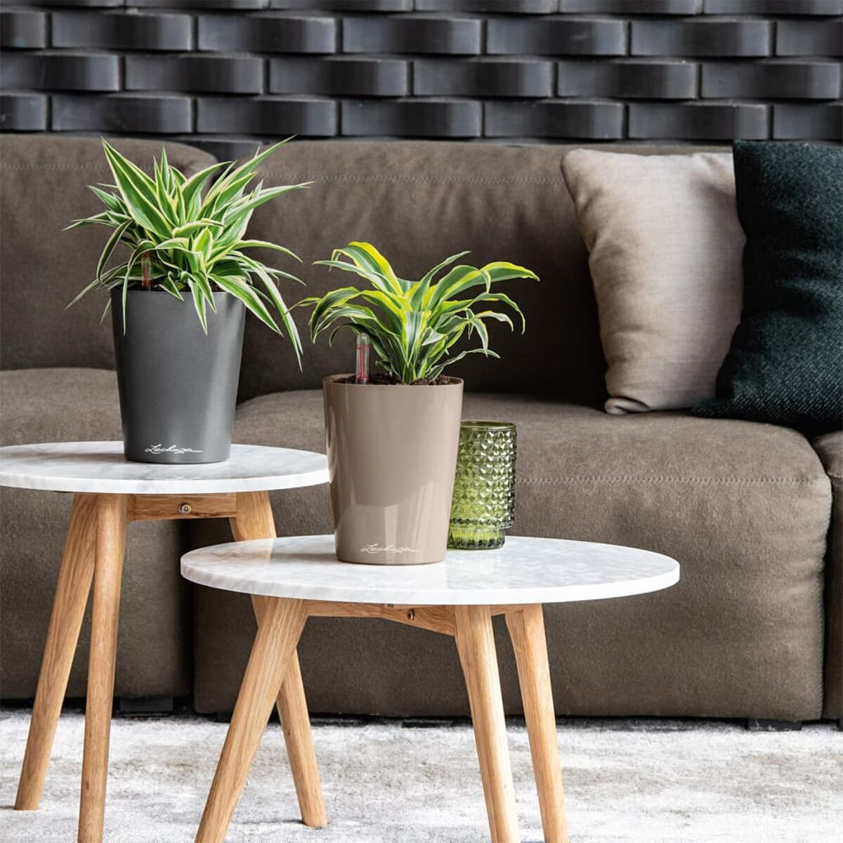 Zwei Topfpflanzen auf weißen Tischen. Braunes Sofa und dunkle Backsteinmauer im Hintergrund.
