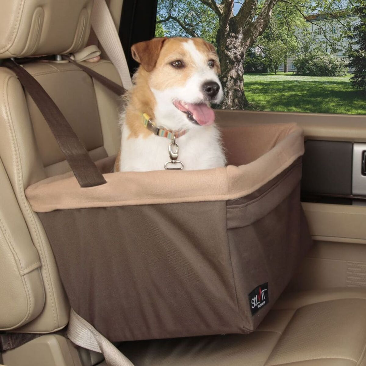 Hund im Autositz. Tan und weißer Hund mit Sicherheitsgurt. Beige und brauner Autositz. Grüner Hintergrund.