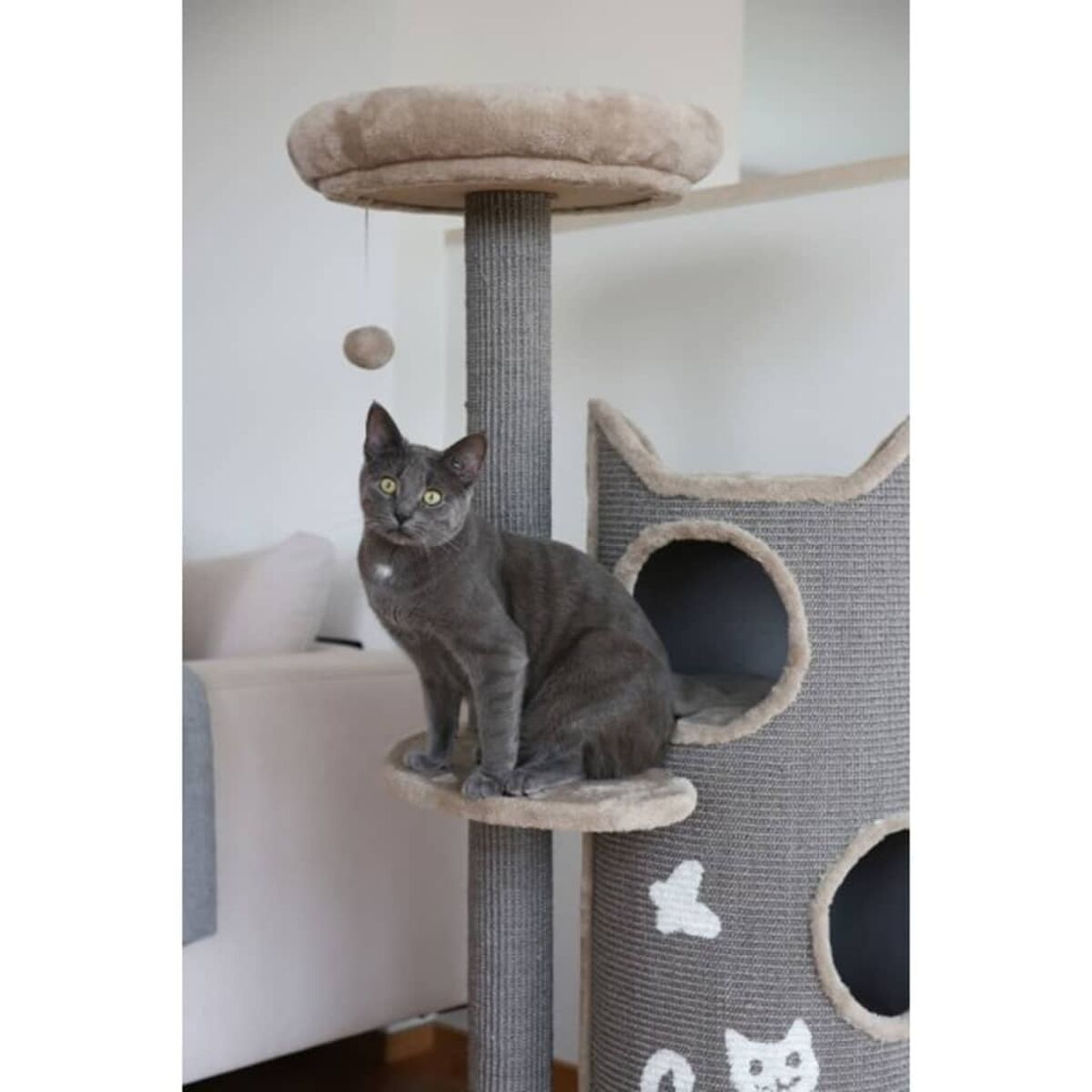 Eine graue Katze sitzt auf einem Katzenbaum und schaut in die Kamera. Der Baum ist grau und beige.
