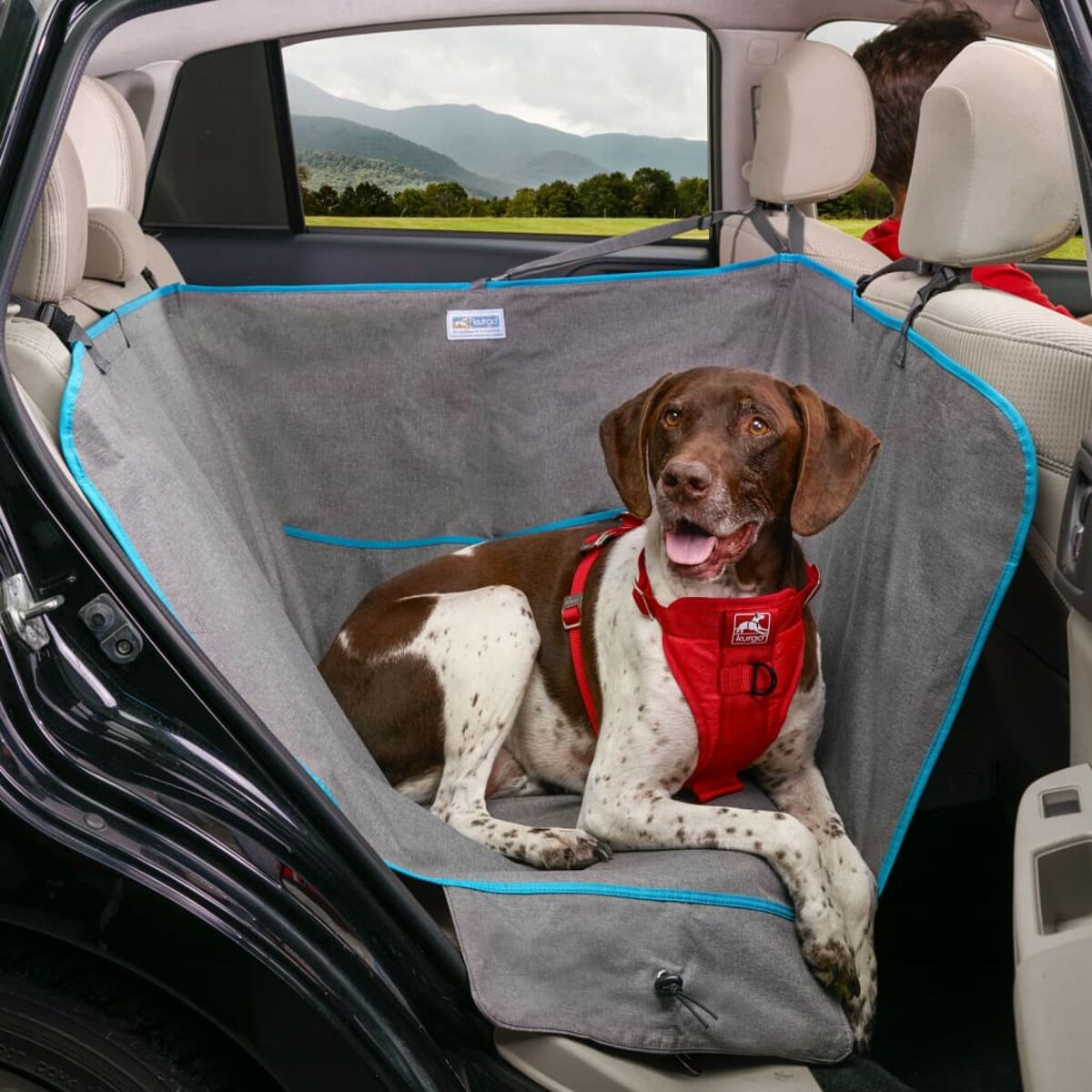 Ein Hund im Auto. Er trägt ein rotes Geschirr und sitzt in einem grauen Autositzbezug. Berge im Hintergrund.