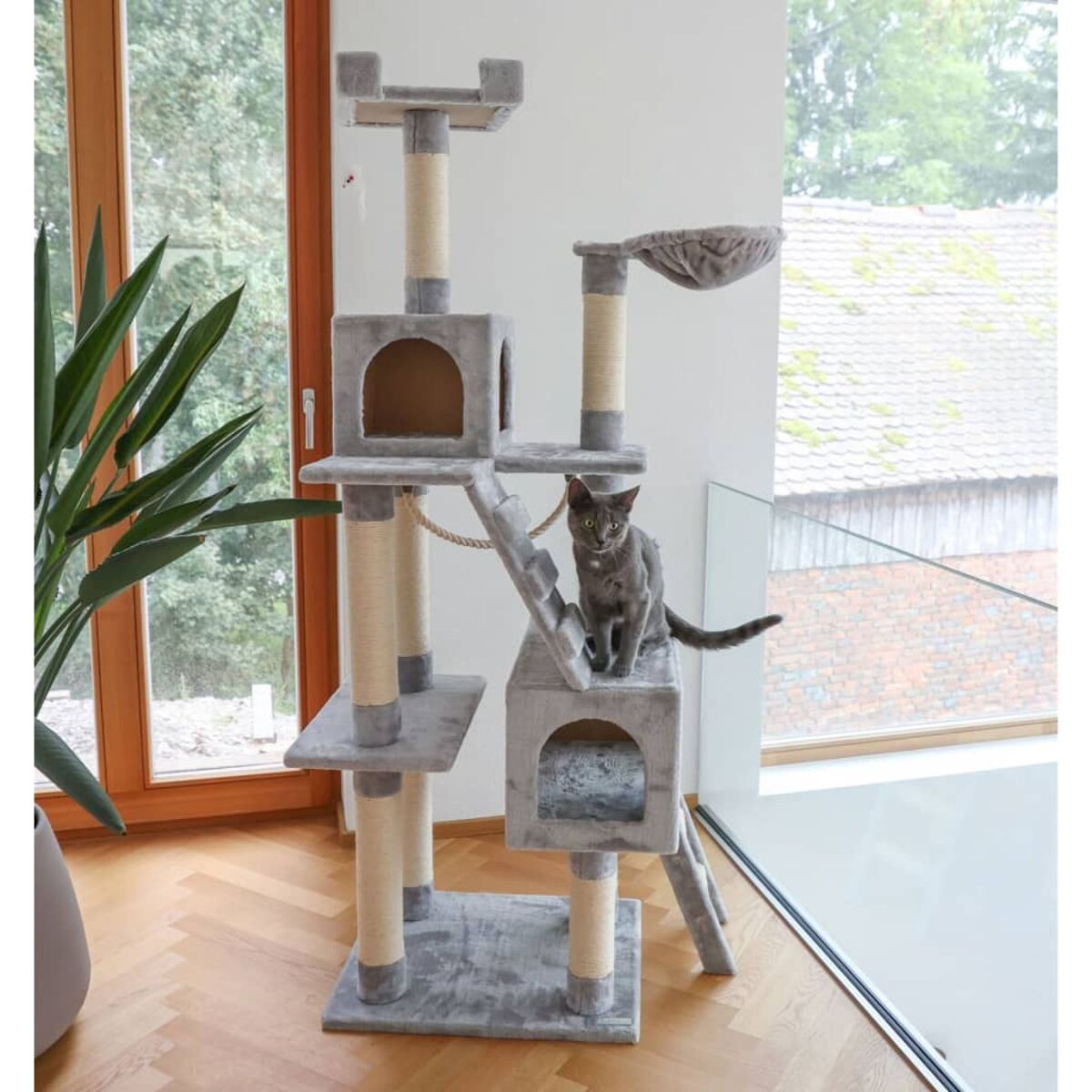 Eine graue Katze sitzt auf einem grauen Katzenbaum. Die Katze blickt in die Kamera. Im Hintergrund ist ein Fenster.