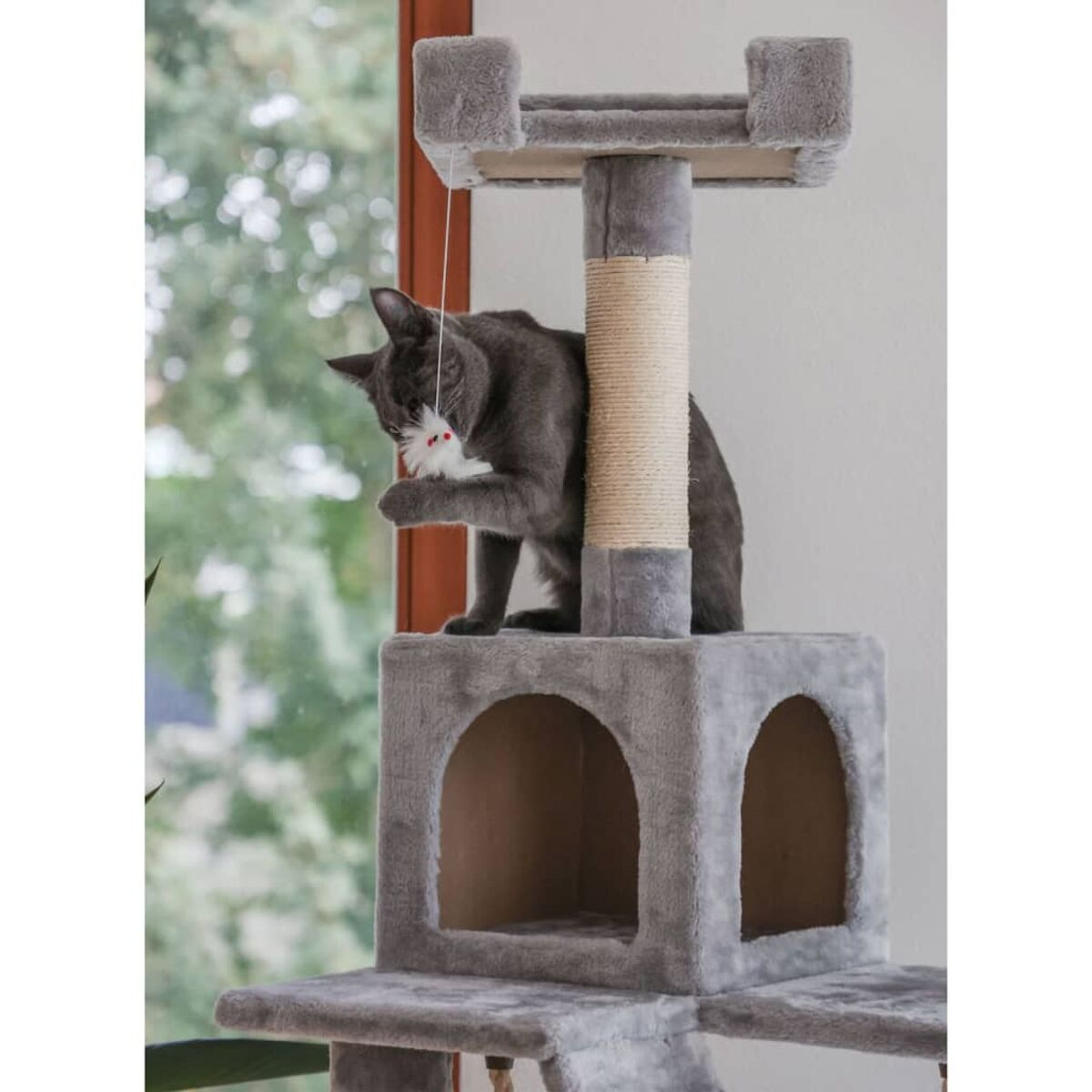 Graue Katze auf einem grauen Kratzbaum, spielt mit einem baumelnden Spielzeug vor einem Fenster.