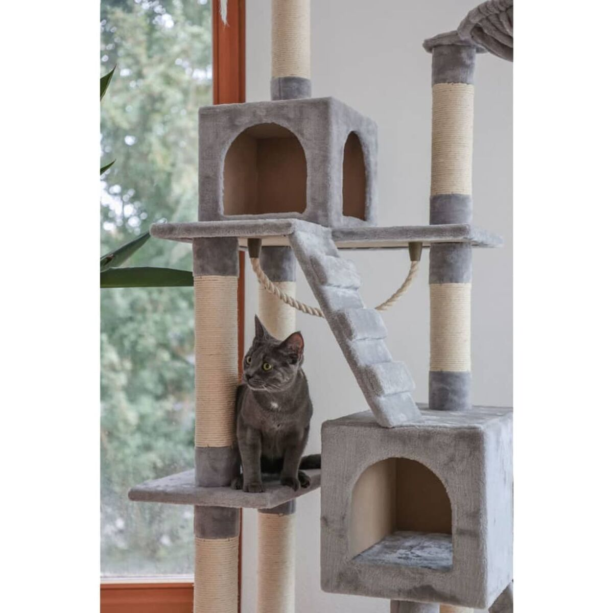 Graue Katze sitzt auf einem mehrstöckigen Kratzbaum, vor einem unscharfen Fensterhintergrund.