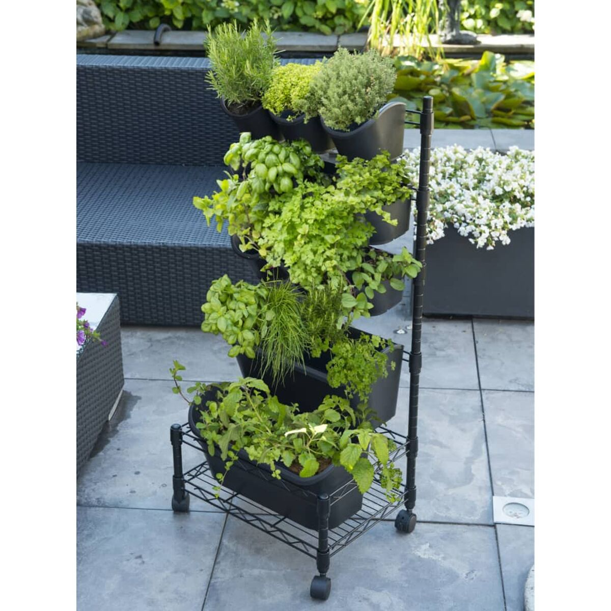Un giardino verticale con varie piante in contenitori neri. La struttura è nera con ruote. Varie piante verdi.