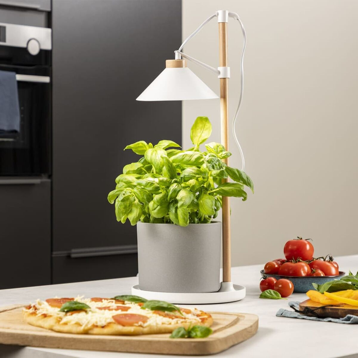 Basilikumpflanze mit Lampe, Pizza auf einem Schneidebrett und Tomaten auf einer Küchentheke.