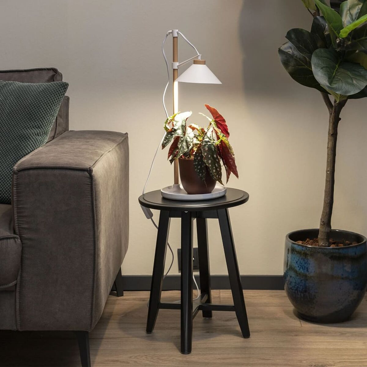 Ein kleiner schwarzer Tisch mit einer Pflanze, Lampe und Sofa.