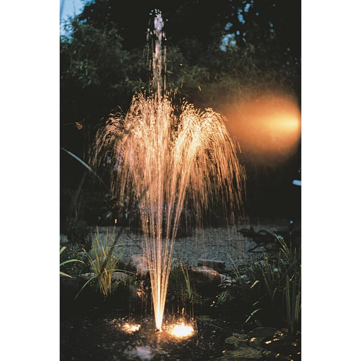 Ein Wasserbrunnen spritzt nach oben. Dunkler Hintergrund mit Bäumen und einer Lichtquelle. Wasser wird beleuchtet.