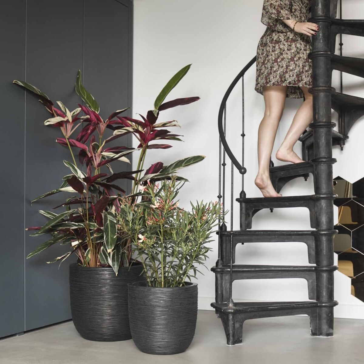 Eine Frau, die eine Wendeltreppe hinaufsteigt. Zwei Pflanzen in dunklen Töpfen links.