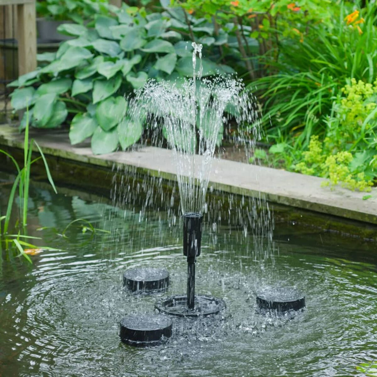 Brunnen in einem Teich mit nach oben spritzendem Wasser und umgebenden Pflanzen.