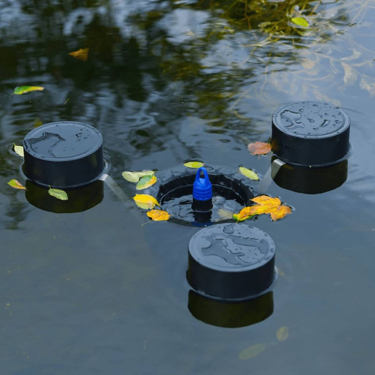 Drei schwarze schwimmende Objekte im Wasser mit gelben Blättern.