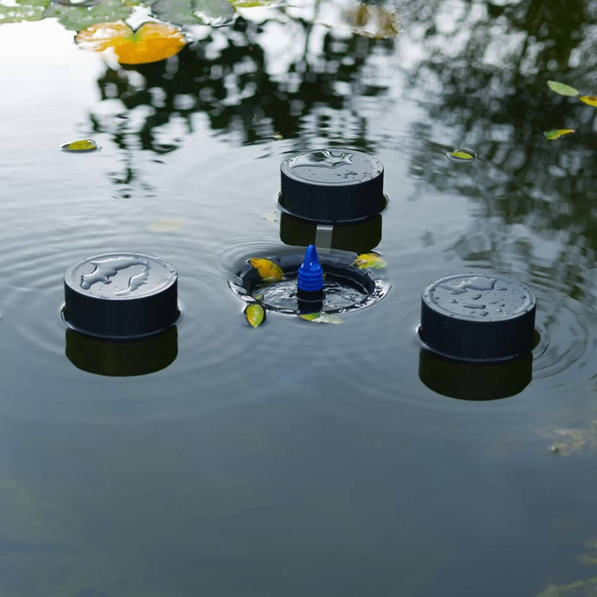 Drei schwarze Zylinder schwimmen im Wasser, in der Mitte ein blauer Brunnen. Gelbe Blätter auf der Oberfläche. Hintergrund Wasser und Bäume.