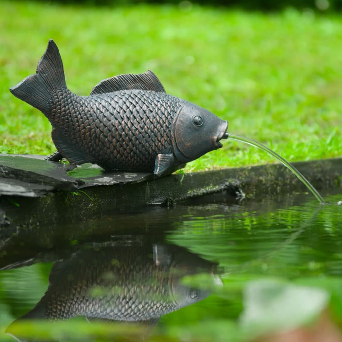 Ein bronzefarbener Fischbrunnen in einem Teich. Wasser strömt aus dem Maul des Fisches.