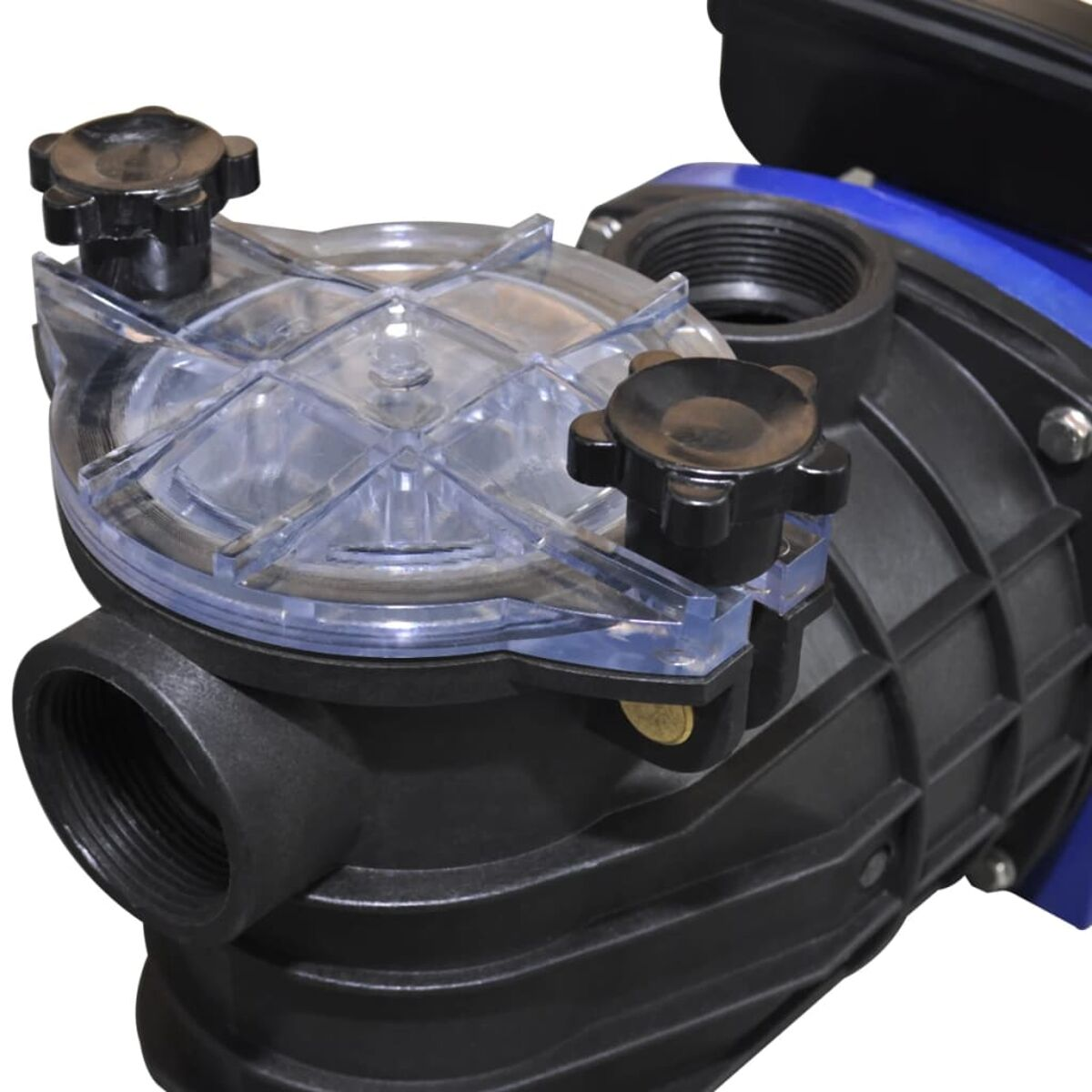 Nahaufnahme einer schwarzen und blauen Pumpe mit schwarzen Knöpfen und transparentem Deckel.
