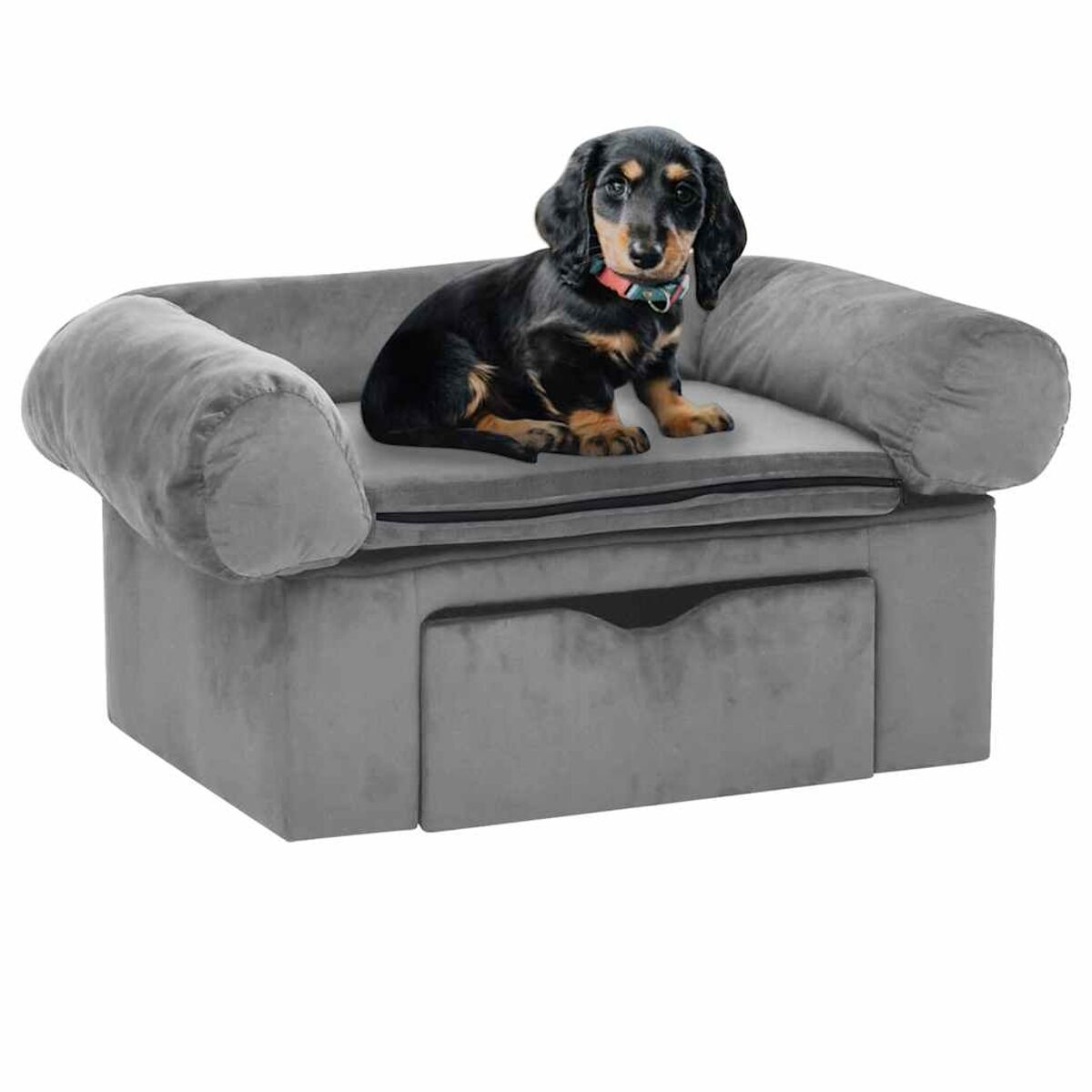 Kleiner Hund auf einem grauen Haustiersofa mit Schublade. Der Hund hat schwarz-braunes Fell.