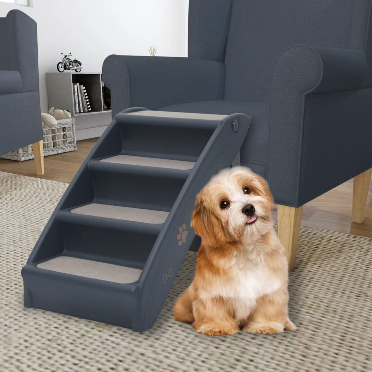 Ein kleiner Hund sitzt neben einer Haustiertreppe. Es hat einen blauen Rahmen. Ein Stuhl ist im Hintergrund.