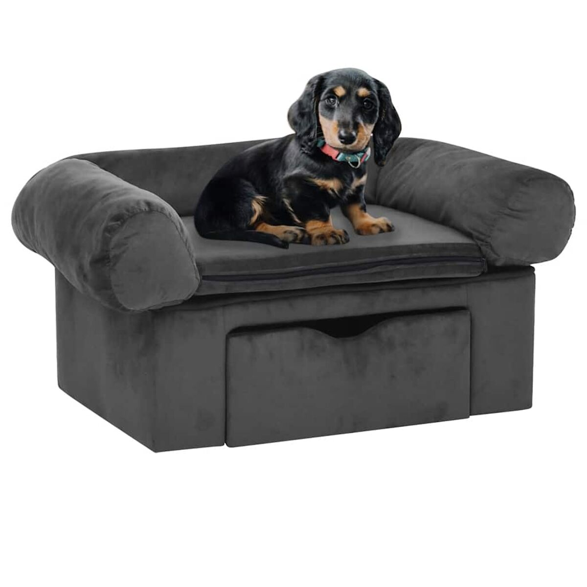 Ein kleiner Hund sitzt auf einem Hundesofa mit Schublade.