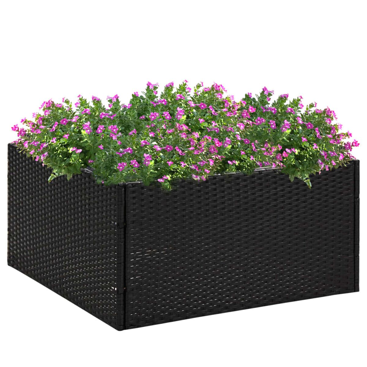Schwarzer Pflanzkasten aus Weide mit rosa Blumen gefüllt. Die Box ist rechteckig. Weißer Hintergrund.