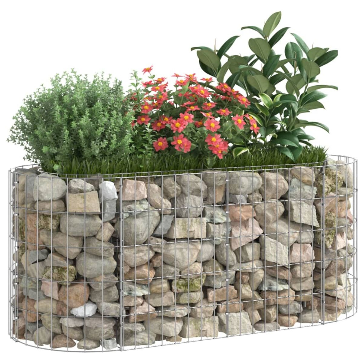 Gabionenpflanzer mit Pflanzen und Blumen. Weißer Hintergrund.
