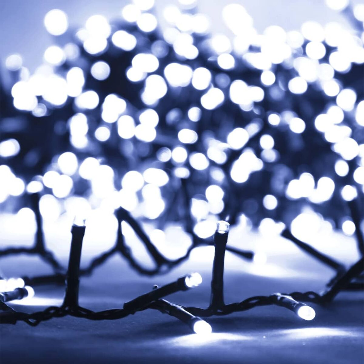 Nahaufnahme von Lichterketten mit vielen kleinen, hellweißen LEDs.