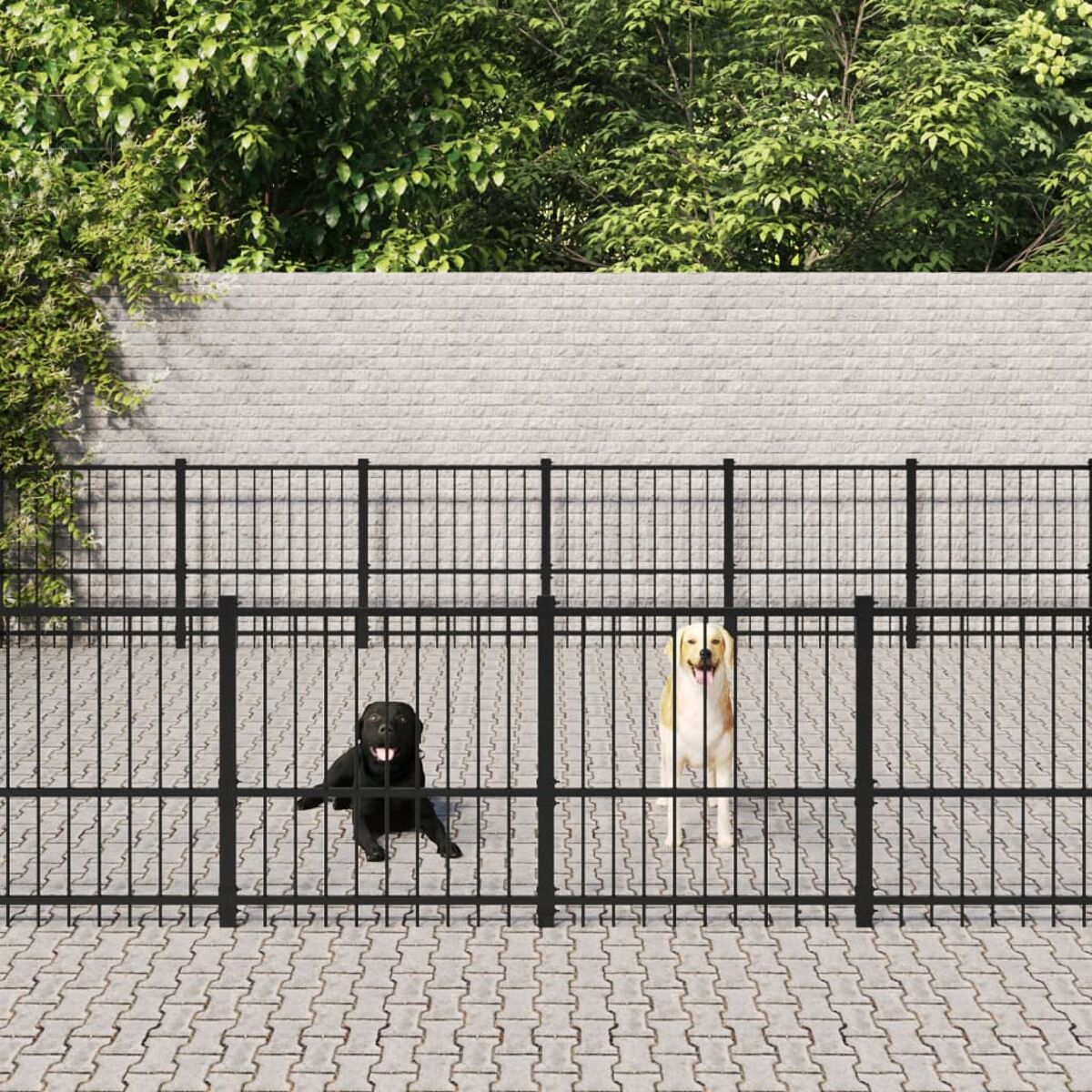 Zwei Hunde hinter einem schwarzen Metallzaun. Einer schwarz, einer braun-weiß. Ziegelhintergrund.
