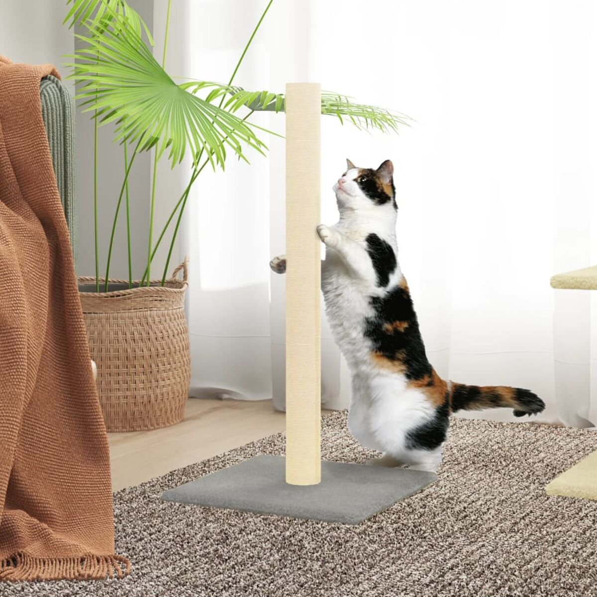 Eine Schildpattkatze steht auf ihren Hinterbeinen und kratzt an einer Kratzsäule.