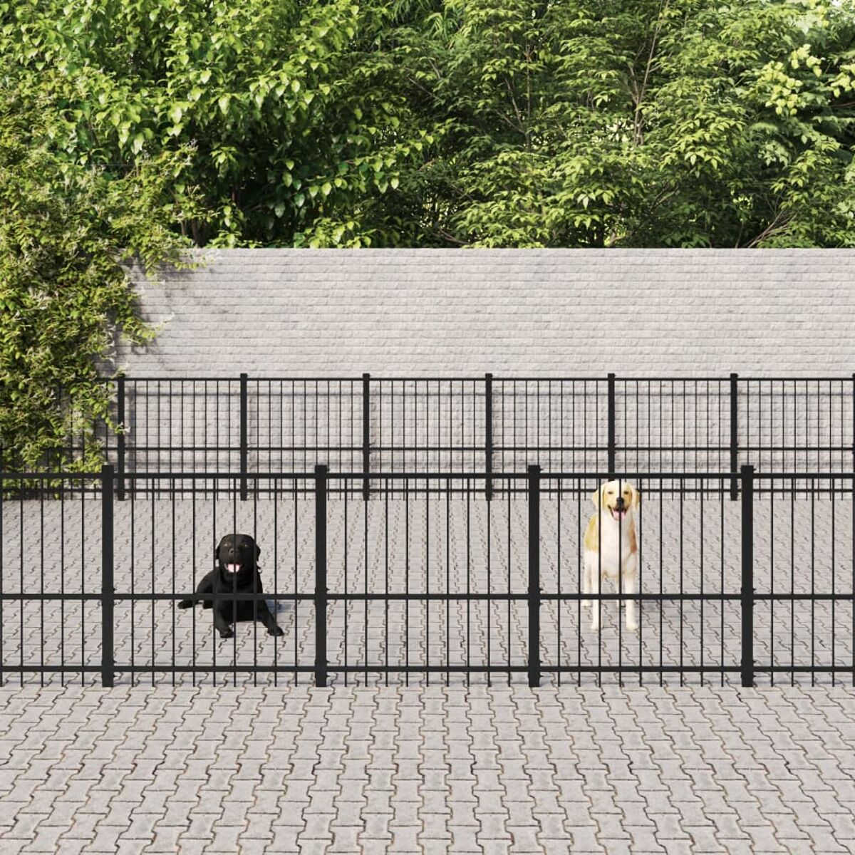 Zwei Hunde hinter einem schwarzen Zaun, mit grünem Laub im Hintergrund.