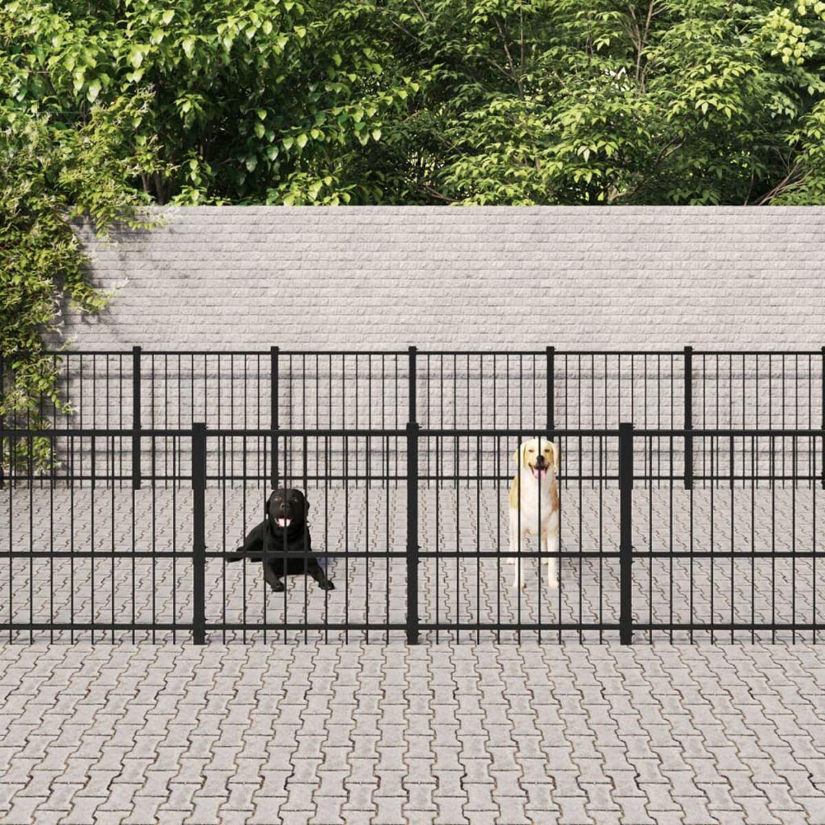 Schwarze und goldene Hunde hinter einem Zaun. Ziegelmauer und grünes Laub im Hintergrund.