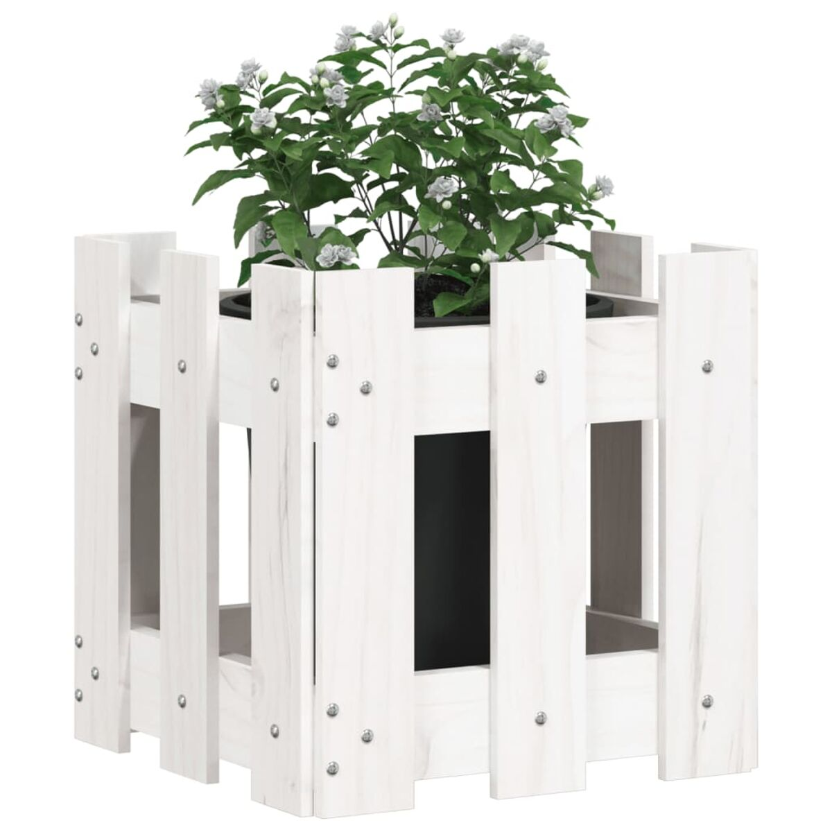 Weißer Holzpflanzer mit weißen Blumen und grünen Blättern. Es ist auf weißem Hintergrund.