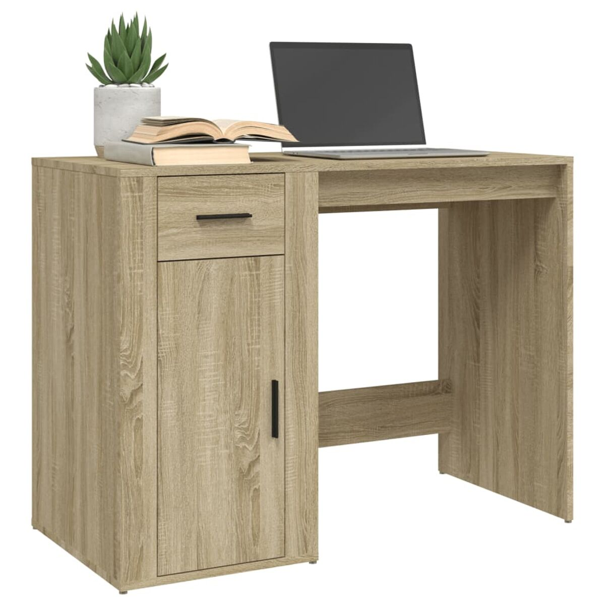 Holzschreibtisch mit Laptop, Topfpflanze und Büchern vor weißem Hintergrund.