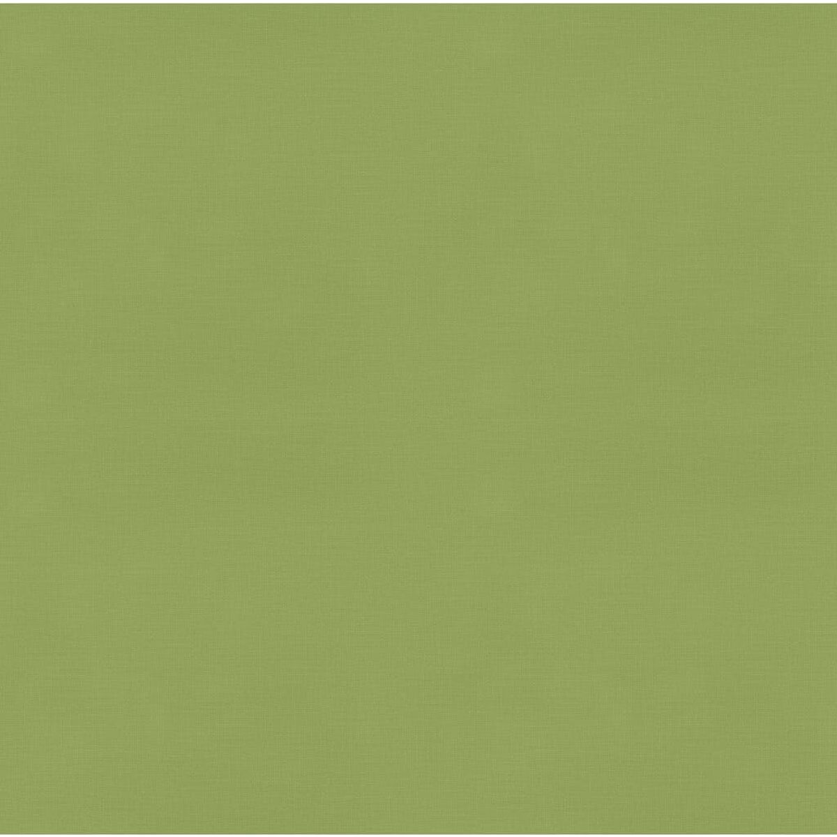 Ein durchgehend grüner Hintergrund. Das Grün ist ein heller, gedämpfter Farbton. Der Hintergrund ist leer.