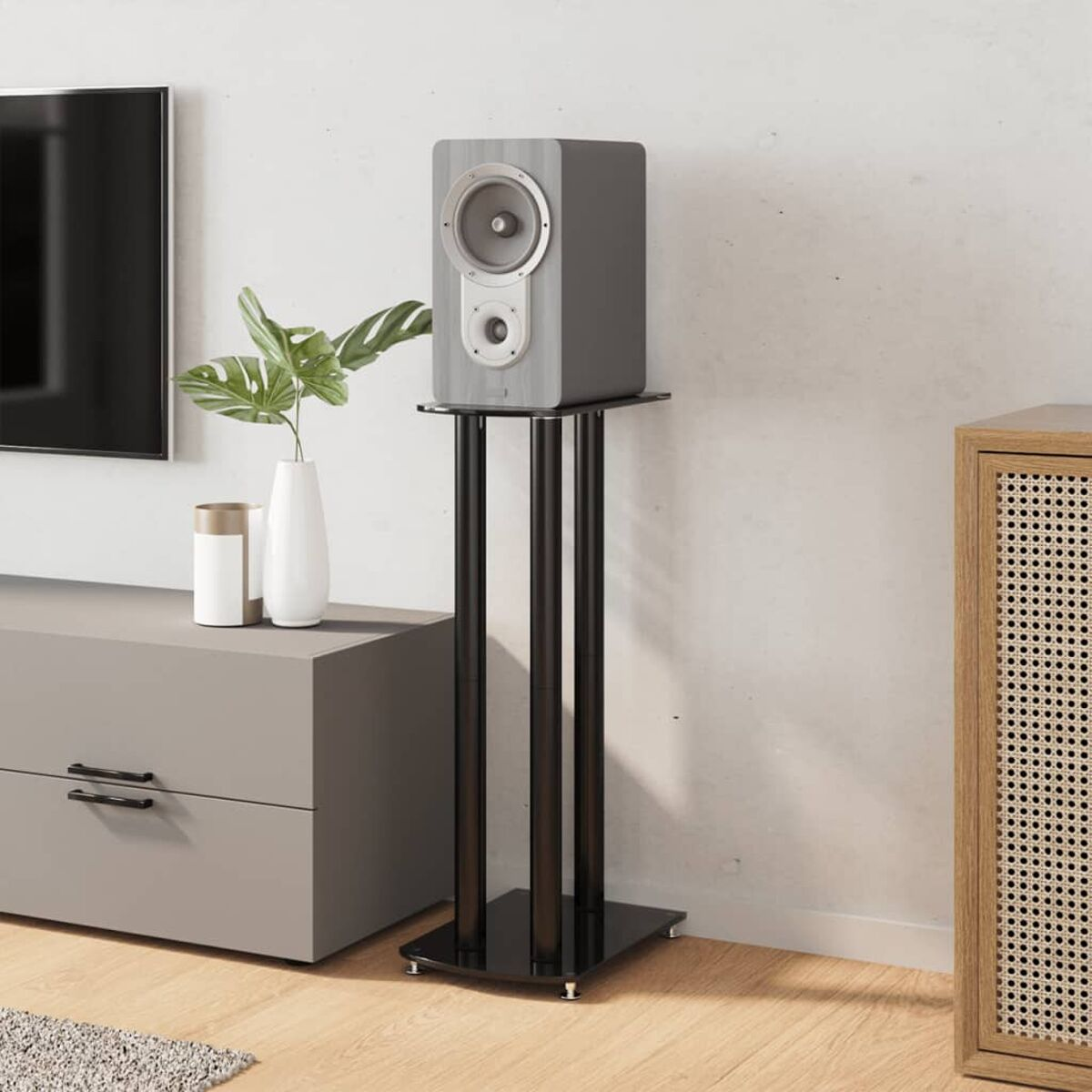 Ein grauer Lautsprecher auf einem schwarzen Ständer. Ein Fernseher links, eine Vase mit einer Pflanze und ein Holzschrank rechts.