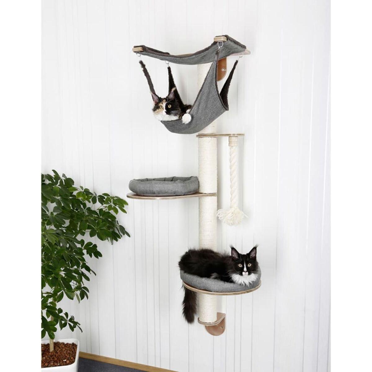 Zwei Katzen im Katzenbaum. Eine in der Hängematte, die andere darunter.