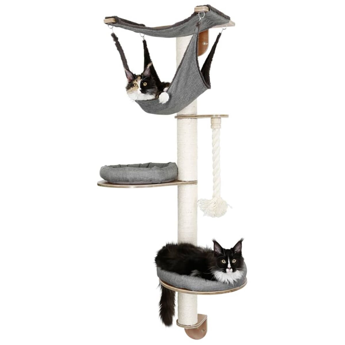 Zwei Katzen auf einem Katzenbaum. Eine in einer Hängematte, eine in einem Bett.