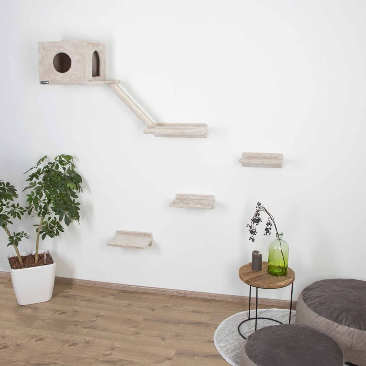 Katzenkletterstruktur an weißer Wand. Mit Haus, Stufen und Plattformen. Pflanze und Tisch.