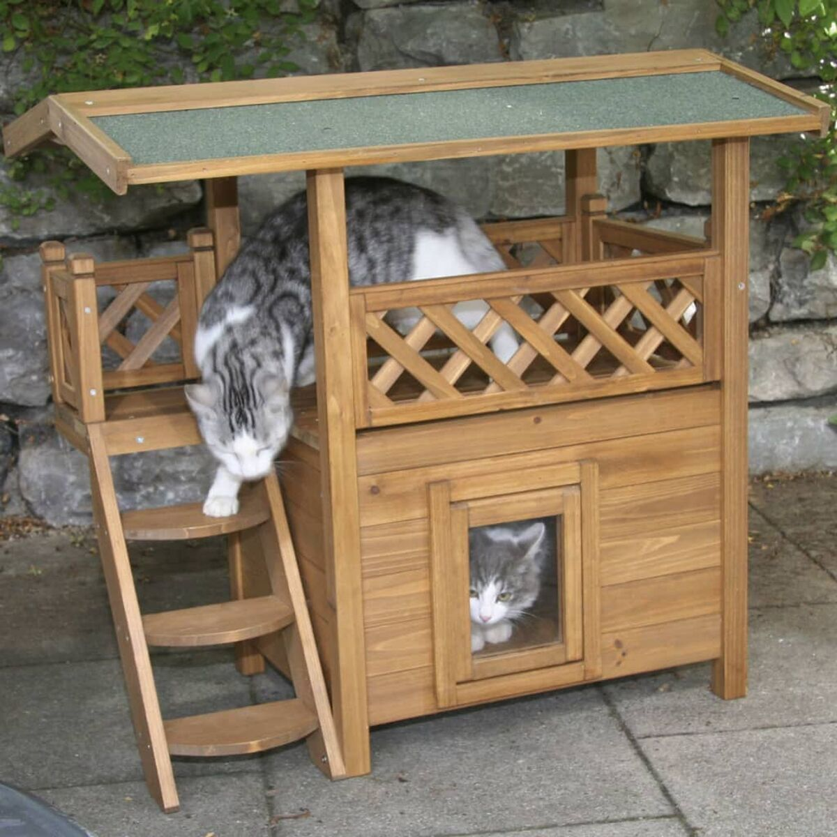 Due gatti in una casetta di legno per gatti. Uno in una finestra, uno sulle scale.