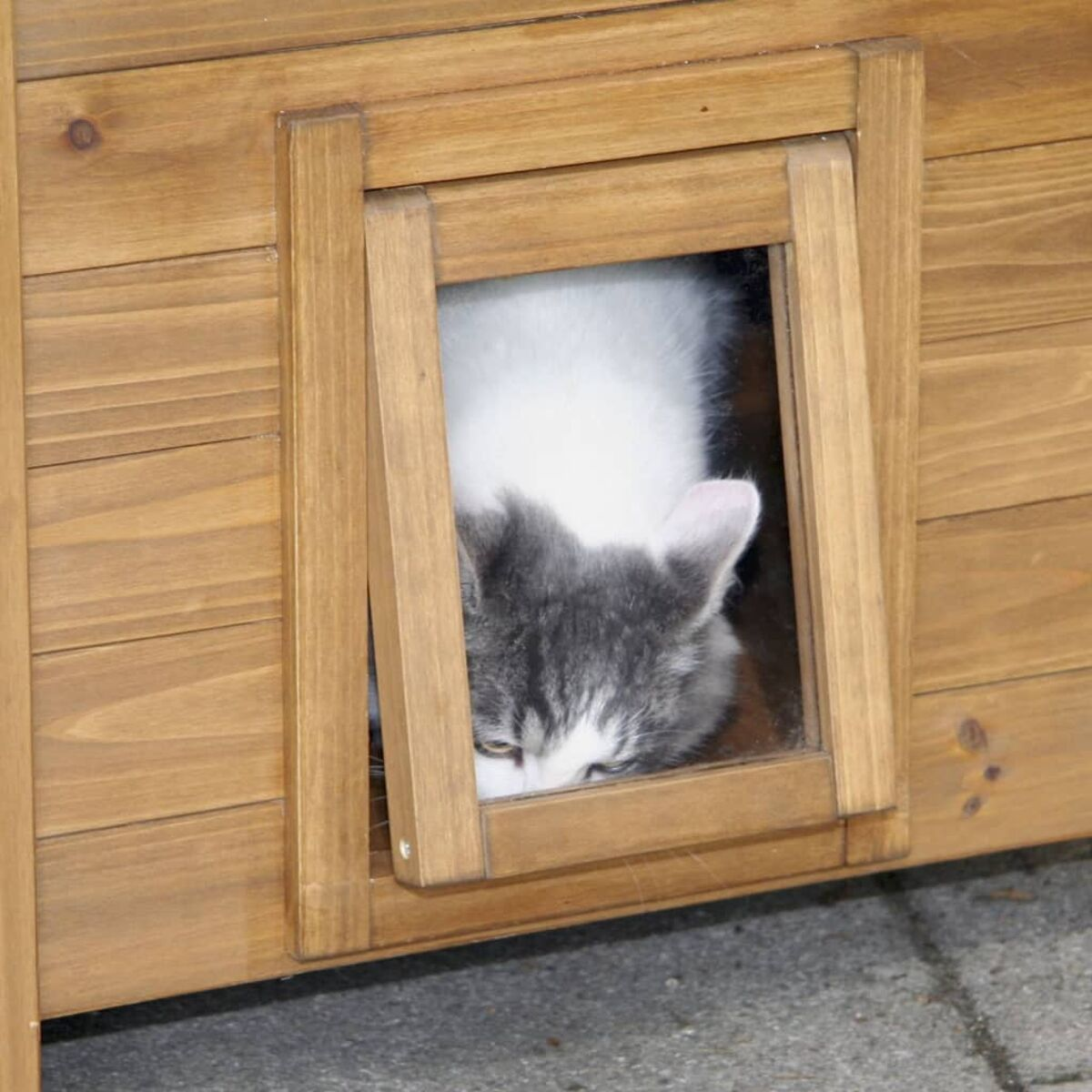 Testa di gatto in una casetta di legno per gatti, che guarda attraverso un'apertura.