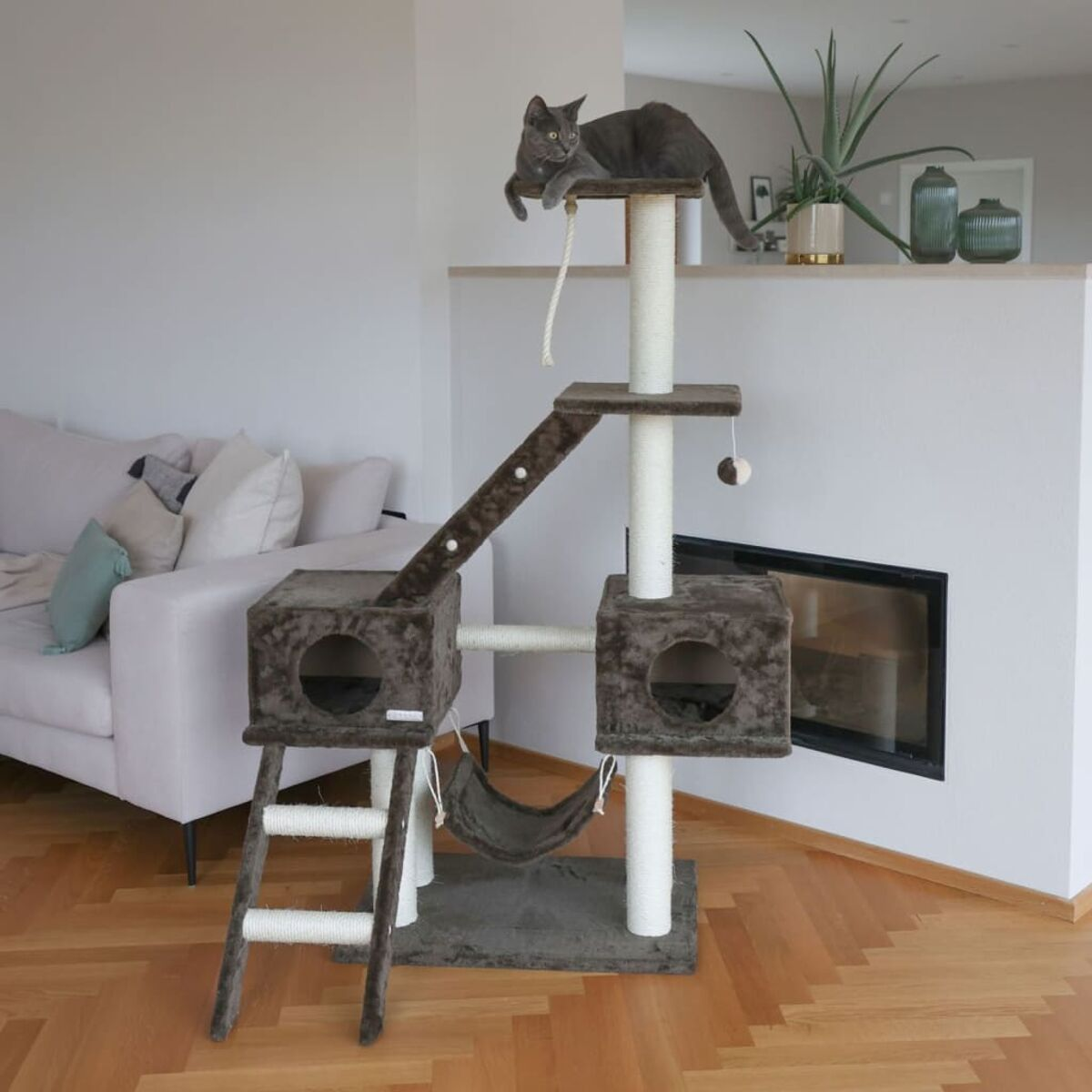 Katzenbaum. Graue Katze oben. Verschiedene Plattformen, eine Hängematte und eine Rampe.