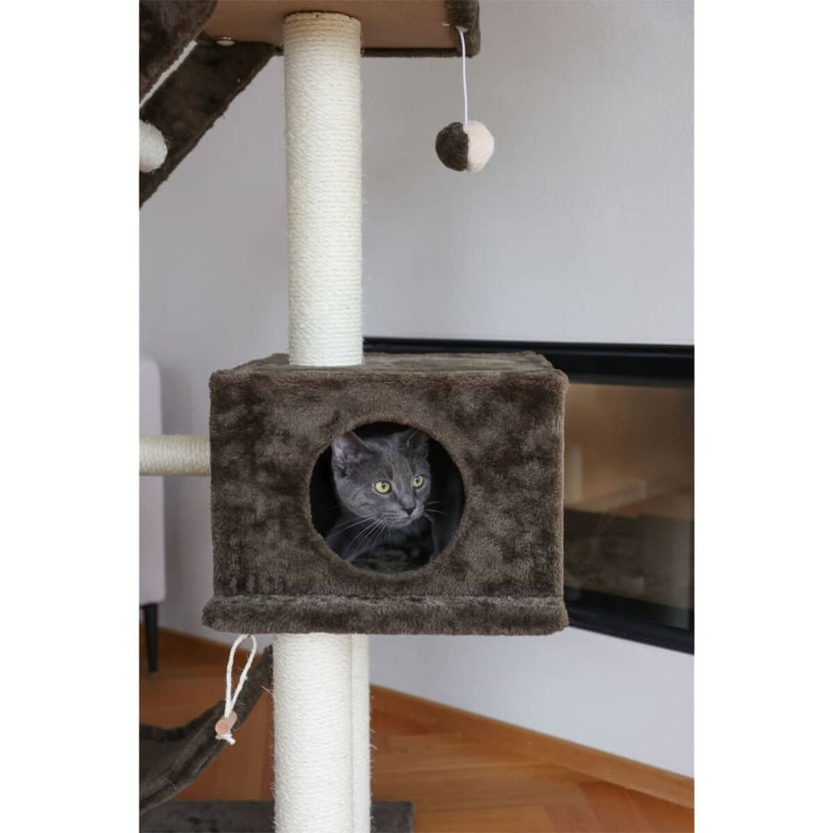 Katze in einem Katzenbaumhaus. Graue Katze schaut heraus. Brauner Katzenbaum, weiße Wand im Hintergrund.