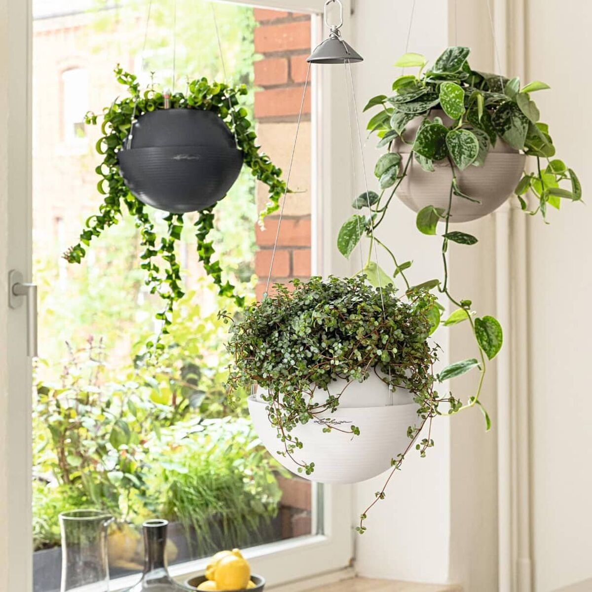 Trois jardinières suspendues avec des plantes vertes. L'une est foncée, l'autre claire et l'autre blanche.