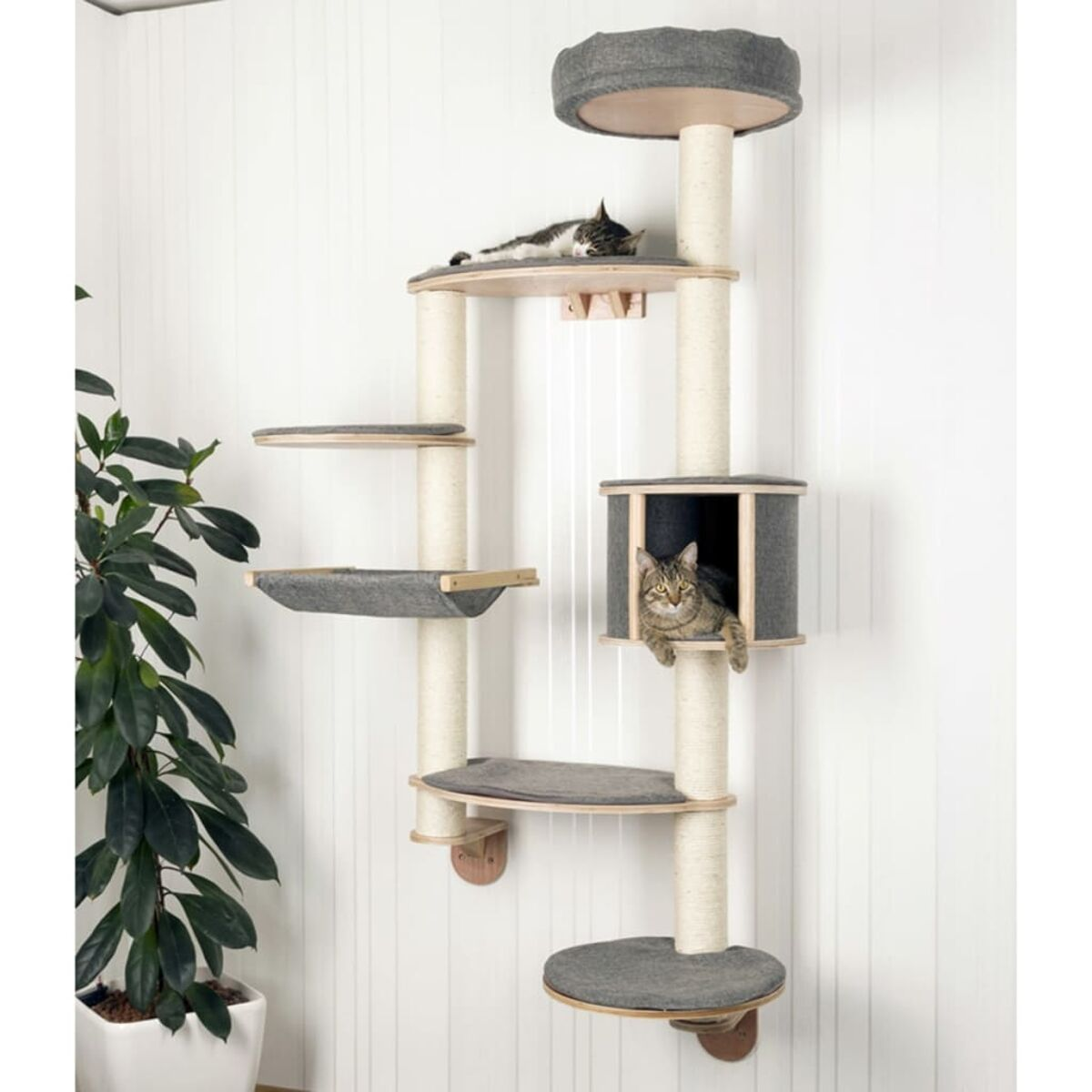 Katzenbaum mit zwei Katzen. Grau-weißes Design. Mehrstöckige Struktur an weißer Wand.