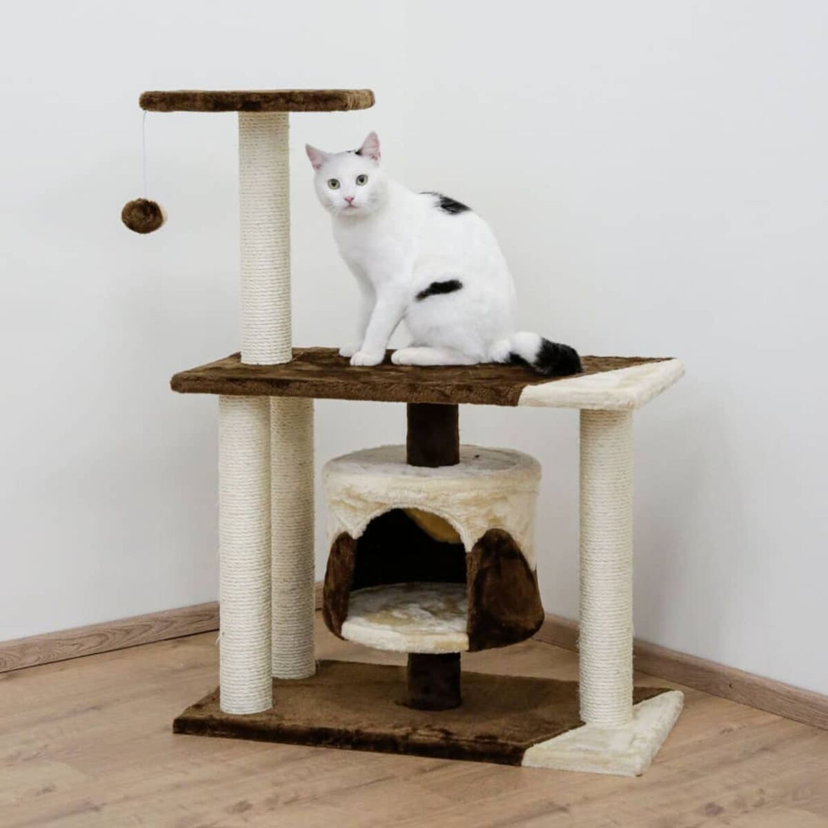 Eine weiße Katze auf einem Kratzbaum mit braunen und beigen Elementen. Ein Ball hängt oben.