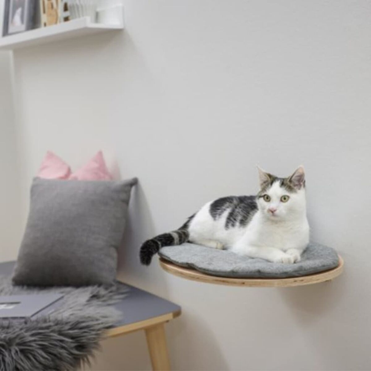Eine Katze auf einem an der Wand montierten Katzenbett, die in die Kamera schaut. Weiße Wand.