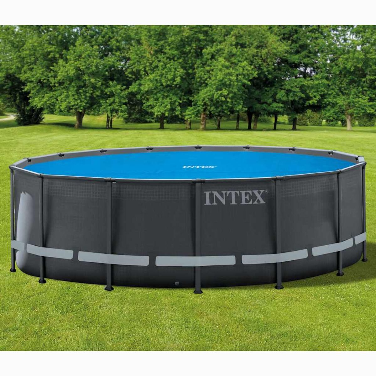 Ein oberirdischer Swimmingpool auf einem Rasen, umgeben von Bäumen. Der Pool ist dunkelgrau.