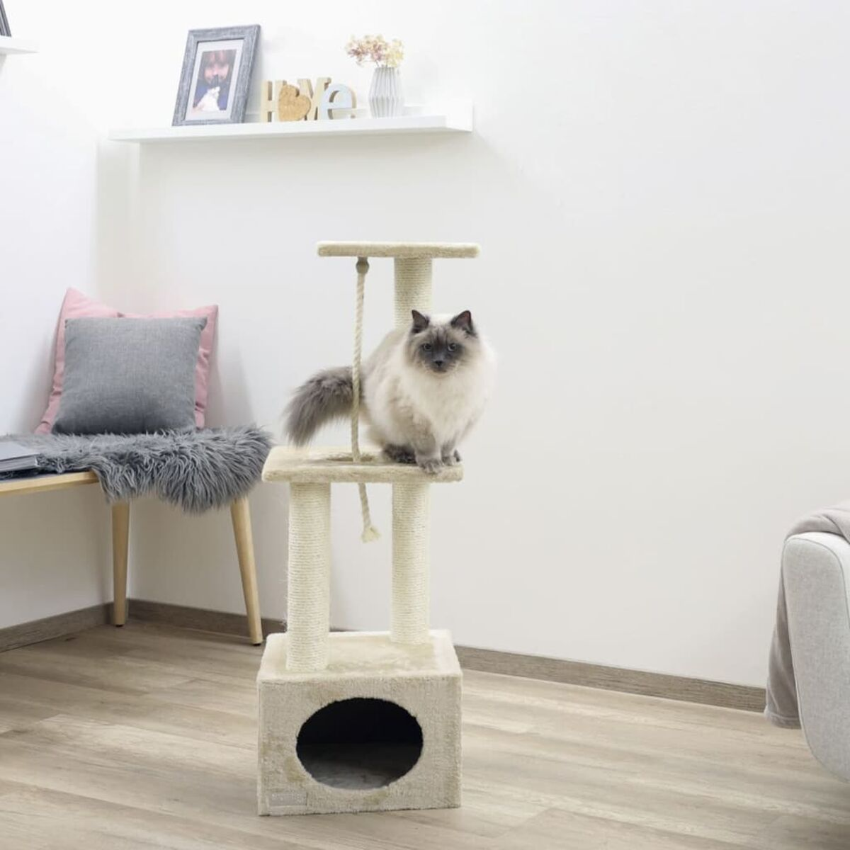 Katze auf einem Kratzbaum, mit weißem Wandhintergrund, andere Deko sichtbar.