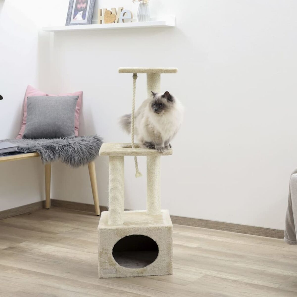 Katze auf beigem Kratzbaum mit grauem Hintergrund und Bild an der Wand.